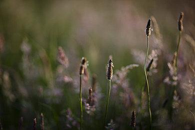 《死亡空间：重制版》从头开始重建石村号 更加恐怖了